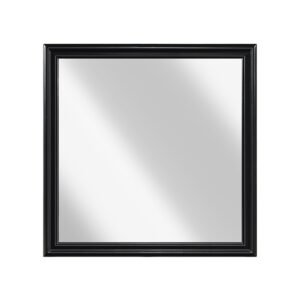 2147BK-6 Mirror