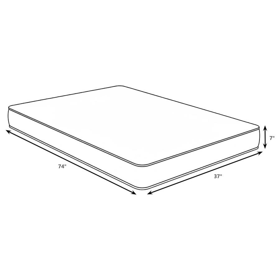 350155t 02x900.jpg 350155t 02x900.jpg
